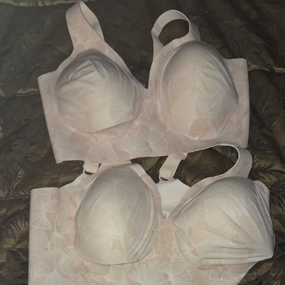 Evelyn & Bobbie Other - Lot Of 2 Bras 2XL